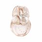 Bvlgari-Omnia-Crystalline-Eau-De-Parfum-Feminino